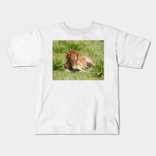 Wild horses, wildlife gifts, Assateague Island Kids T-Shirt